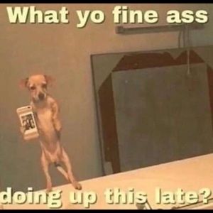 Meet your Posher, Justin